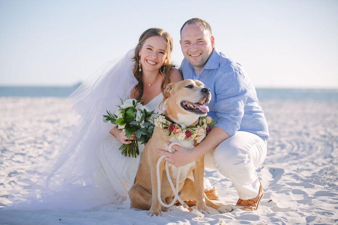 Dog Ring Bearer at Wedding Ceremony | Palm Beach, FL | Married in Palm Beach | www.marriedinpalmbeach.com | Captured Beauty Photography