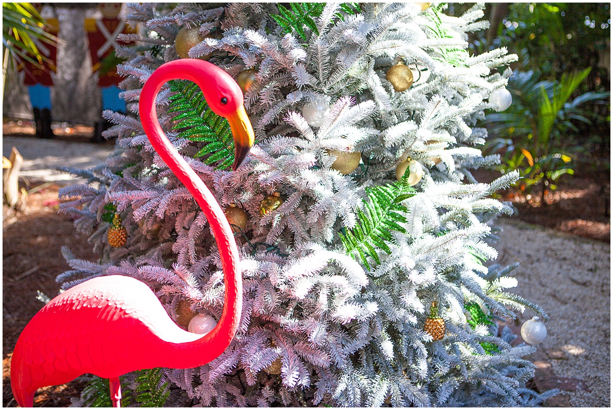 Holiday Photo Spots | West Palm Beach, FL | Married in Palm Beach | www.marriedinpalmbeach.com | Krystal Zaskey Photography