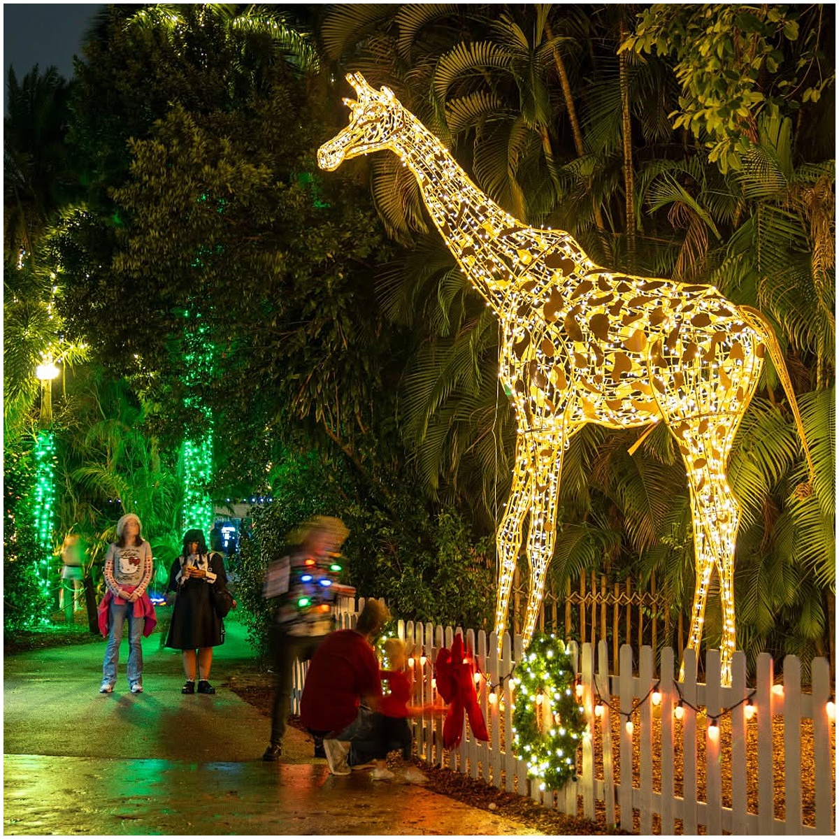 Holiday Photo Spots | West Palm Beach, FL | Married in Palm Beach | www.marriedinpalmbeach.com | Palm Beach Zoo