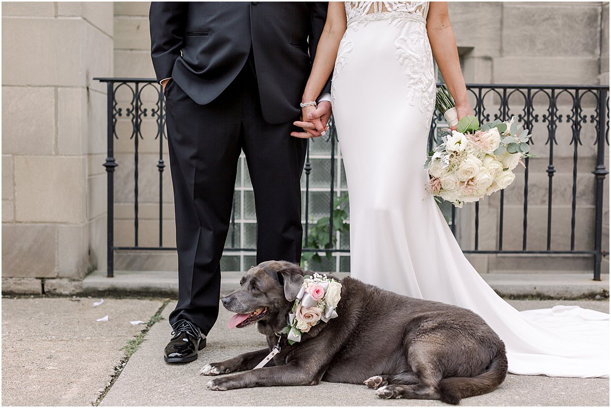 Palm Beach Wedding Dog_Blink and Co Photography