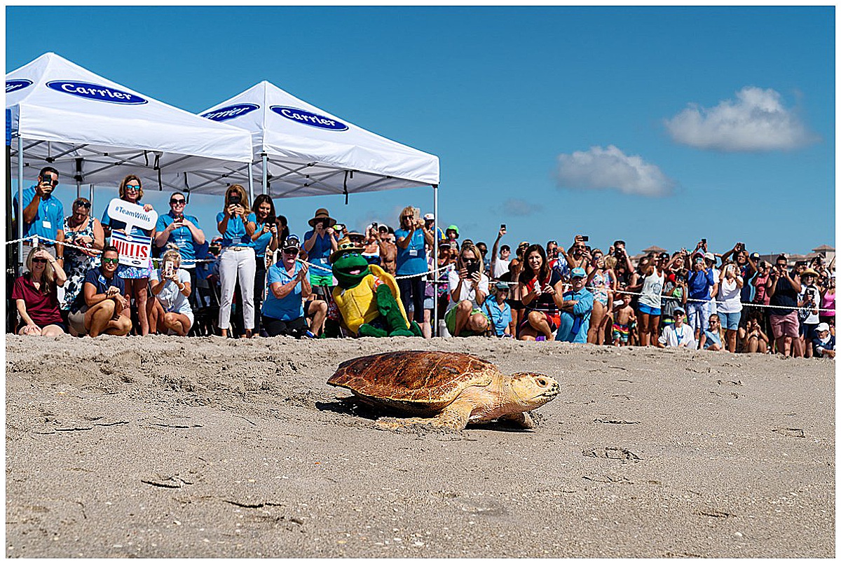 Bachelorette Party Ideas | West Palm Beach, FL | Married in Palm Beach | www.marriedinpalmbeach.com | Turtle Walk at Loggerhead MarineLife Center