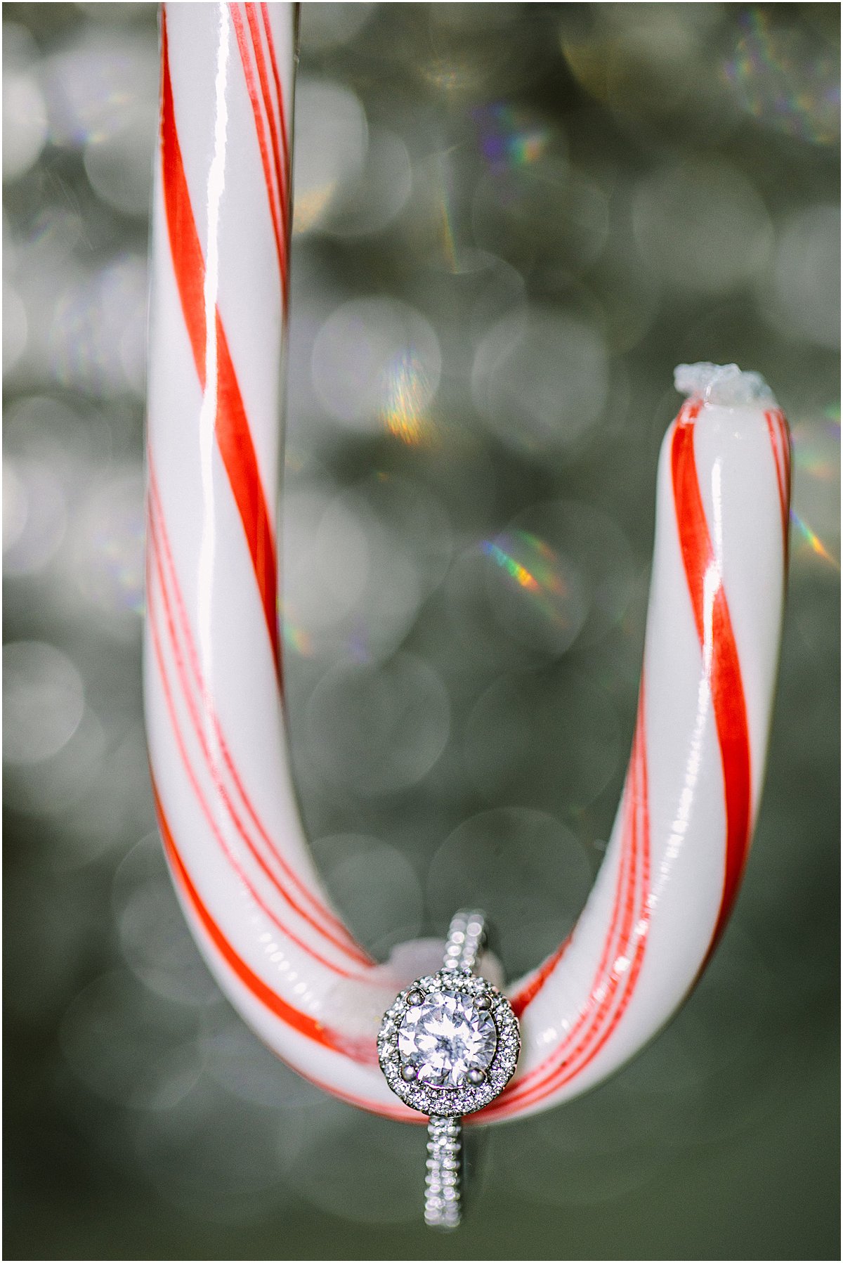 Christmas Wedding Ideas | Candy Cane Ring Shot | Palm Beach, FL | Married in Palm Beach | www.marriedinpalmbeach.com | Captured Beauty Photography