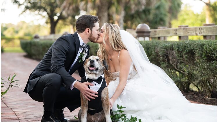 Bride and groom kiss with their dog dressed in a tuxedo at their Palm Beach wedding