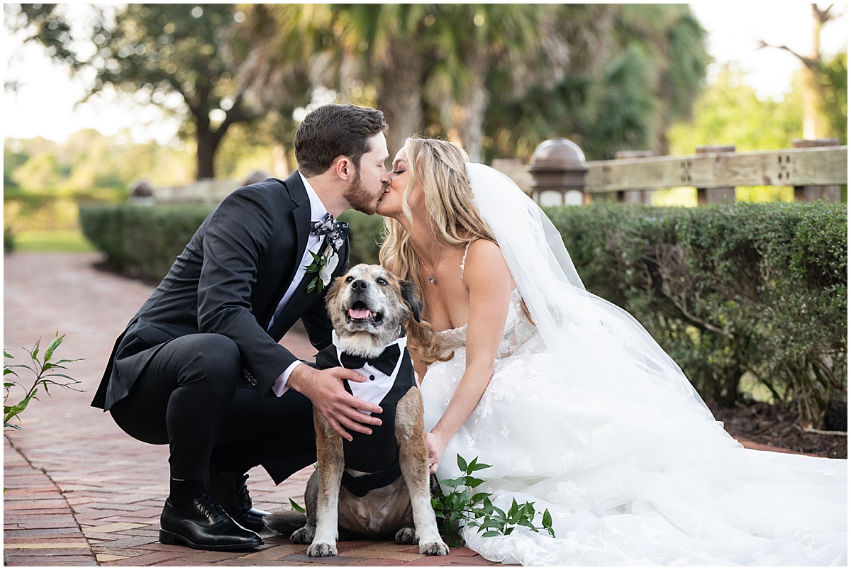 Bride and groom kiss with their dog dressed in a tuxedo at their Palm Beach wedding