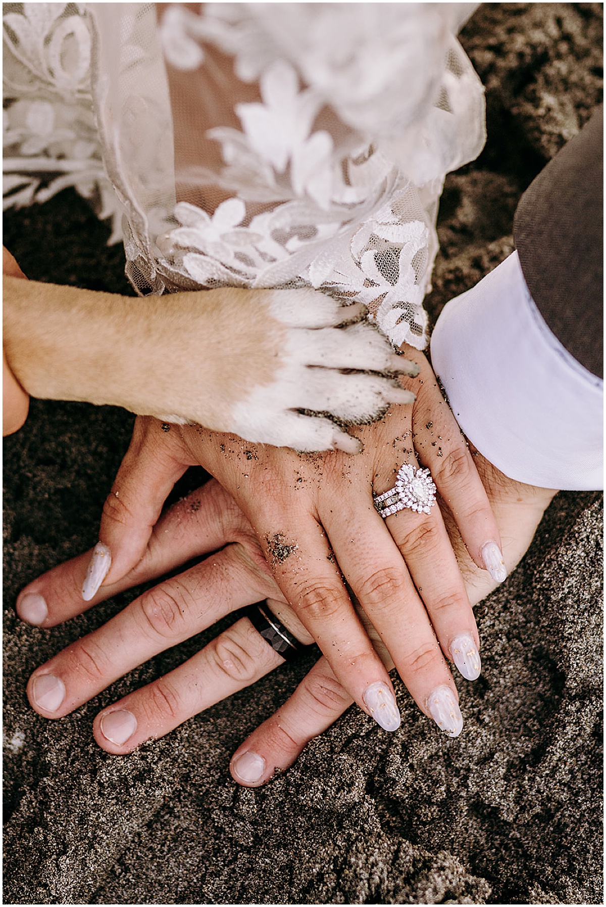 Bride and groom show their wedding rings with their dog’s paw on top of their hands
