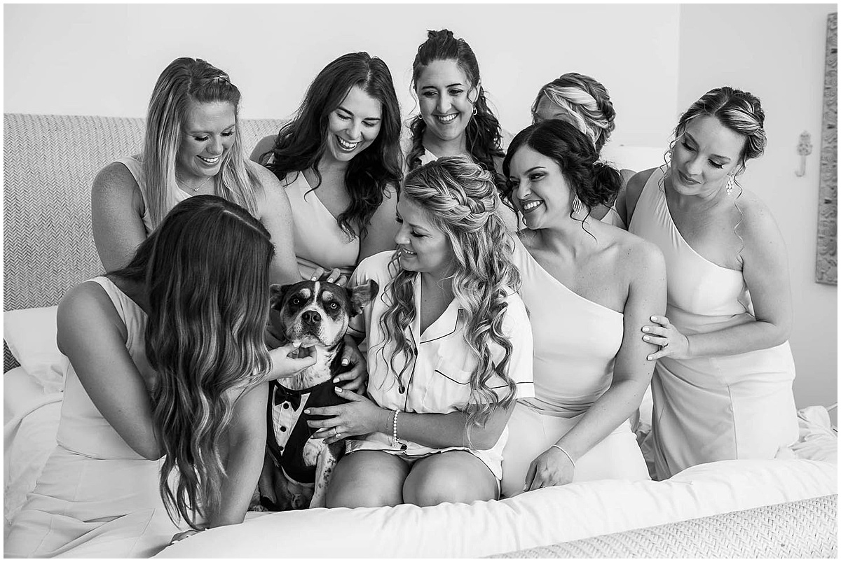 Bride gets ready with her dog and bridesmaids on her Palm Beach wedding day