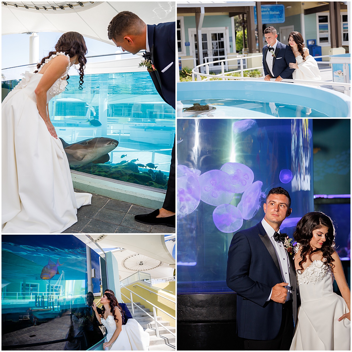 Bride and groom take wedding photos with sharks, sea turtles, fish and jellyfish at Loggerhead Marinelife Center