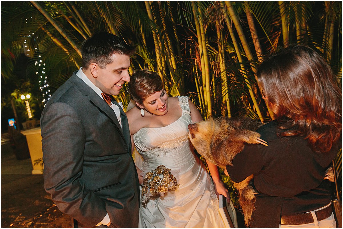 MIPB founder Stefany and her groom meet Wilber the sloth during cocktail hour at their Palm Beach Zoo wedding
