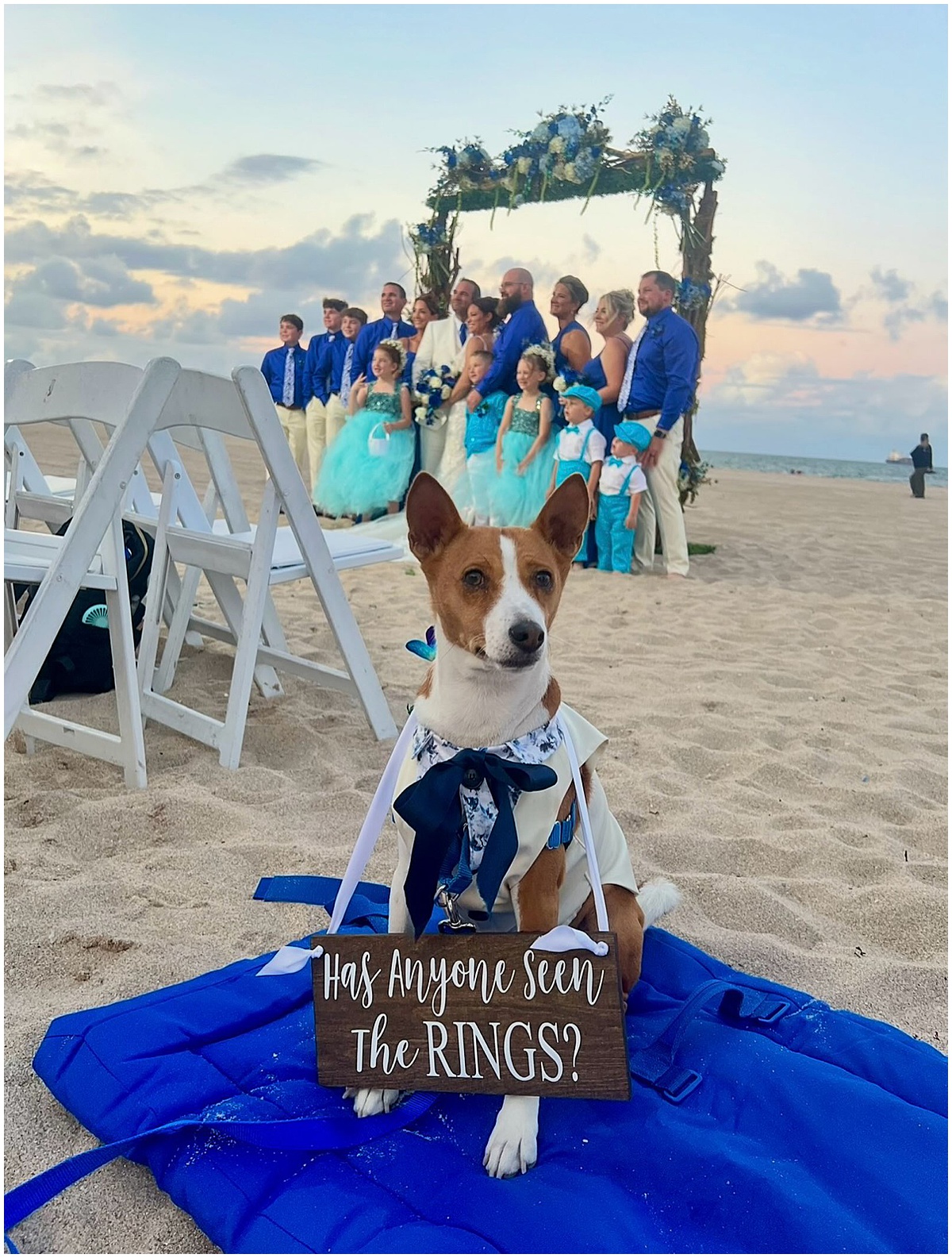 Dog ring bearer holds a “Has Anyone Seen the Rings?” sign at a Palm Beach beach wedding