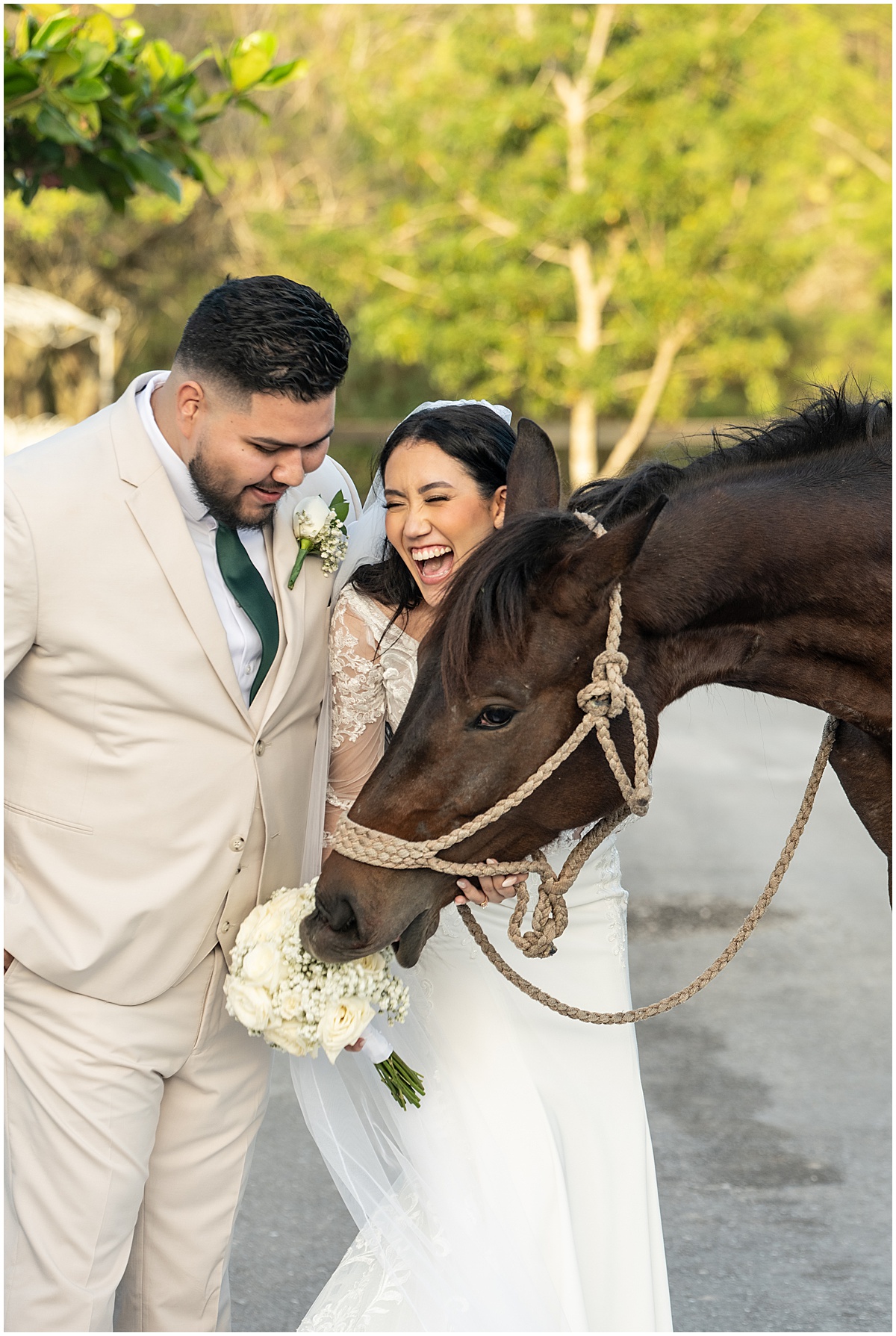 Bride and groom laugh while posing with a horse for their Palm Beach wedding photos