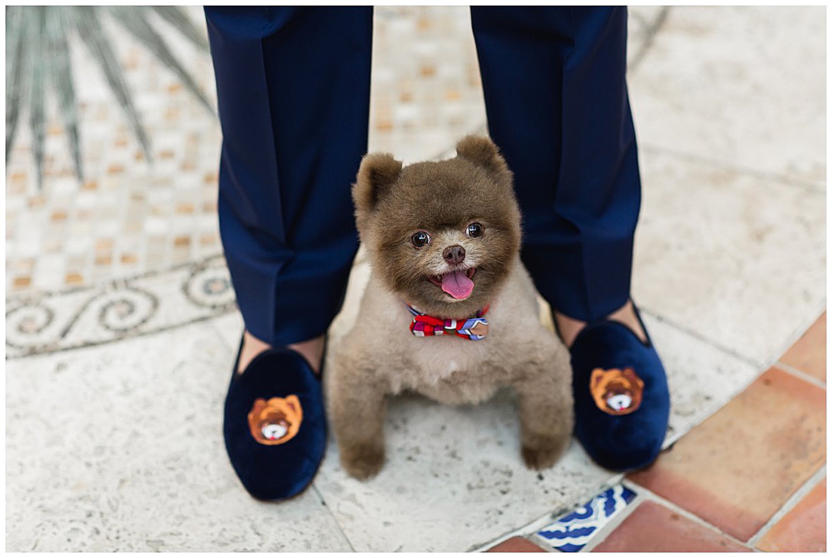 Custom wedding loafers featuring the couple’s dog beside their matching pet