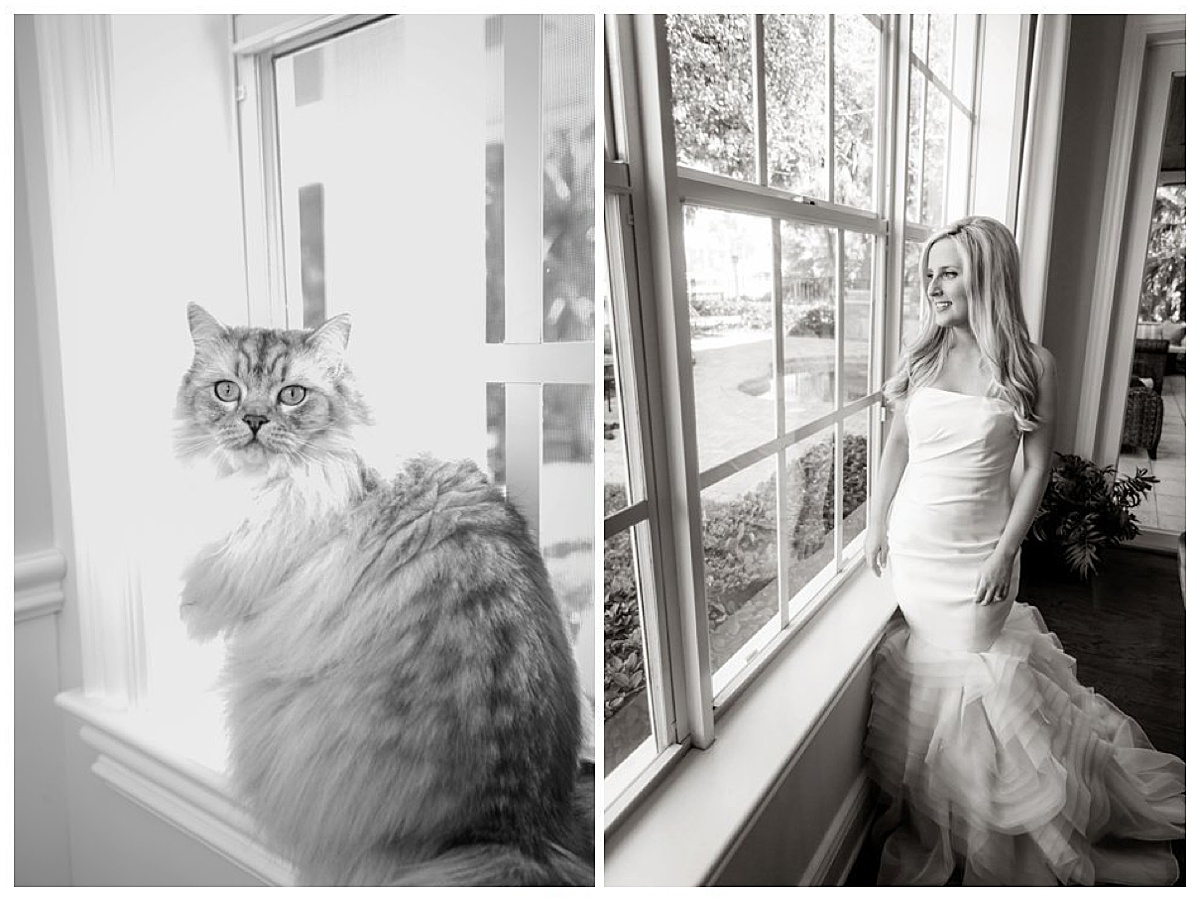 Bride’s cat included in getting-ready photos on her wedding day